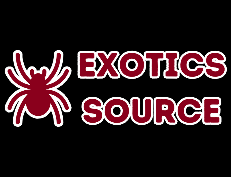 Exotics Source